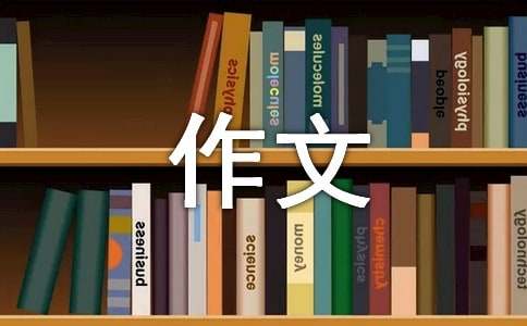 看社火作文600字（精选14篇）